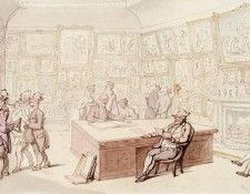 08224. ����������, �����