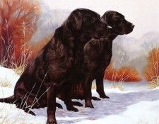 Ipl 0002 Side by Side NigelHemming sqs. �������, ������� � ����� ������