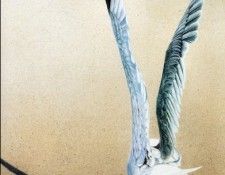 Jules Bouchard - Ombre, De. �����, ����