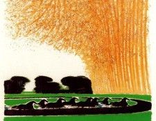 46582. Brasilier, �����