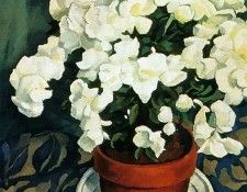 Edwin H Holgate - Azalee, De.   H