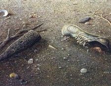 kb Nelson RL Marathon. Nasmith, ���