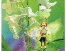 kb Cross Tom Sp Lily of the Valley Fairy. �����, ���