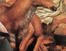 3view1l4. ����������, �������