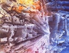 lrs Bond Helen Genisis. ����, �����