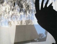 art 246. , 