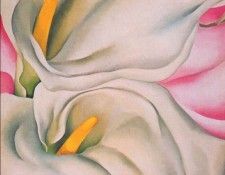 okeeffe two calla lilies on pink 1928. OKeeeffe, 