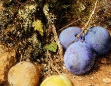 Hunt William Henry Still Life With Greengages And Plums On A Mossy Bank. ,  