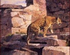 lrsKuhnBob-ASkepticEnteringtheTemple. ���, ���