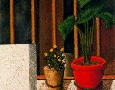 40502. �����, �������� Domenec