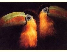 bs-na- Jeffrey Terreson- Untitled-01. Terreson, 