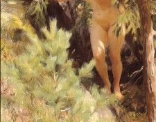 Zorn Nude under a fir. , 