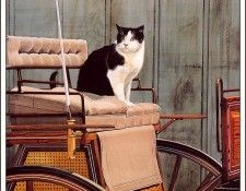 bs-ahp- Donald W Patterson- Your Carriage Awaits. ,  W