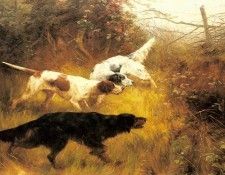 Blinks Thomas Three Pointers In A Landscape. ������, �����