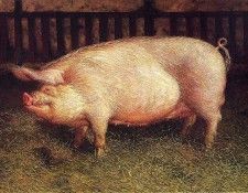 File8964. Wyeth, 
