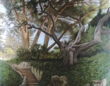 Hardy David Garden Of The Ancient Oak. , 