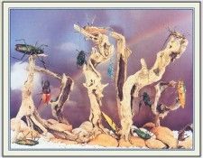 NorfleetB 41 PoliticalWorldRattle-WeaSDC. Norfleet, �������