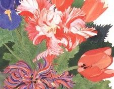 bs- Sara Steele- Parrot Tulips. ����, ����