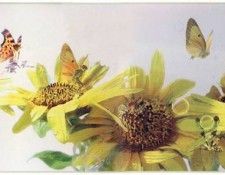 kb Cross Tom Summer. �����, ���