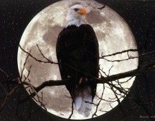 f BarryChall ASC05 MoonlightGlory. Chall, 