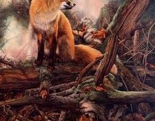 Monique Benoit - La foret enchantee, De. �����, �����