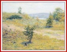 AdamsJOttis SandHill Leland-We. �����, ���� Ottis