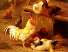 Hunt Edgar Chickens And Chicks. , 