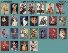 TIGER PIN-UP ELVGREN IDX002. ��� Elvgren