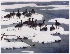 43646. Tunnicliffe, 