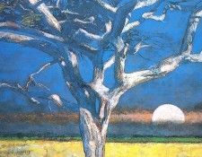 zFox SWD Illustrations 1 18 Peter Fiore 05. Fiore, �����