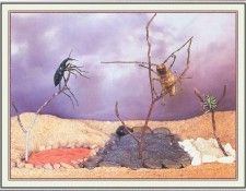 NorfleetB 33 RealEstate-WeaSDC. Norfleet, �������