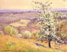 griffith spring on bear wallow. �������, ������ ���