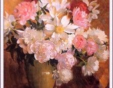 bs-flo- Laura Coombs Hills- Peonies. ,  