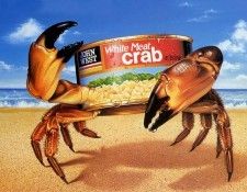 Karen Johnson 01(Jlm). �������, �����