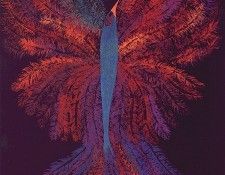 lrs Andraud Norma Phoenix. Andraud, �����