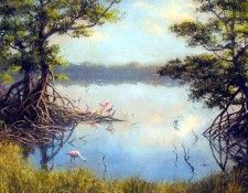 gentle breezes csg022 roseates among the mangroves. ,  