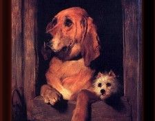 CU123-TopHat-Landseer.   