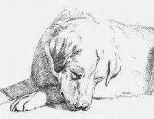 Ipl 0012 Untitled KevinDaniel sqs. �������, ������� � ����� ������