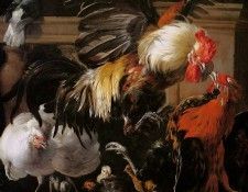 DHondecoeter Melchior Roosters fighting Sun. DHondecoeter, ��������