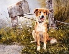 Shirley Deaville - Patiently Waiting, De. Deaville, �����