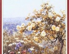 AllinghamHelen Roses-We (f086).  