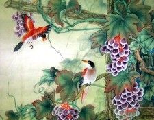 Shen Mei 5e0809. , 
