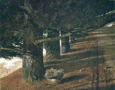 File7313. �����, �����