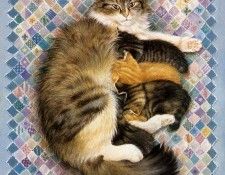 kb Ivory 08. ������, ����� ���