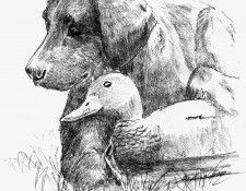 Ipl 0016 Untitled KevinDaniel sqs. �������, ������� � ����� ������