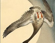 pic09403. �����