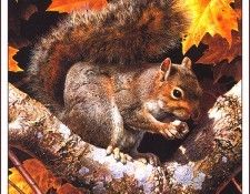 bs-na- Carl Brenders- Golden Season- Gray Squirrel. Brenders, Карл