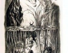 41651. ������, ������ ����� ��