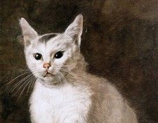 Hendriks Wybrand White cat Sun. , Wybrand