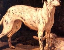 bs-ahp- Jean- Baptist Weenix- Dog Standing By A Dead Hare[detail]. Weenix, -